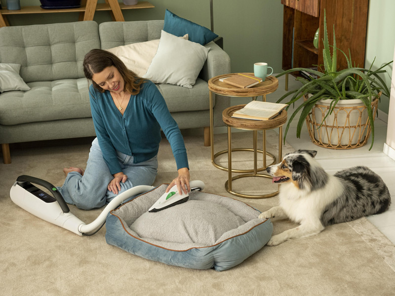 Come rimuovere i peli di animali domestici da divani, tappeti, coperte e  abiti