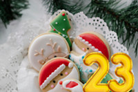 23