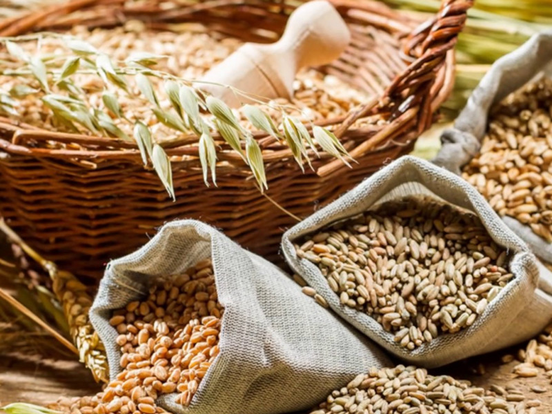 Cibi integrali Magazine ottobre 2022 Main