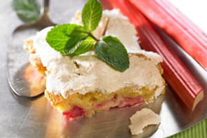 Leckere Rhabarber-Rezepte passend zur Saison