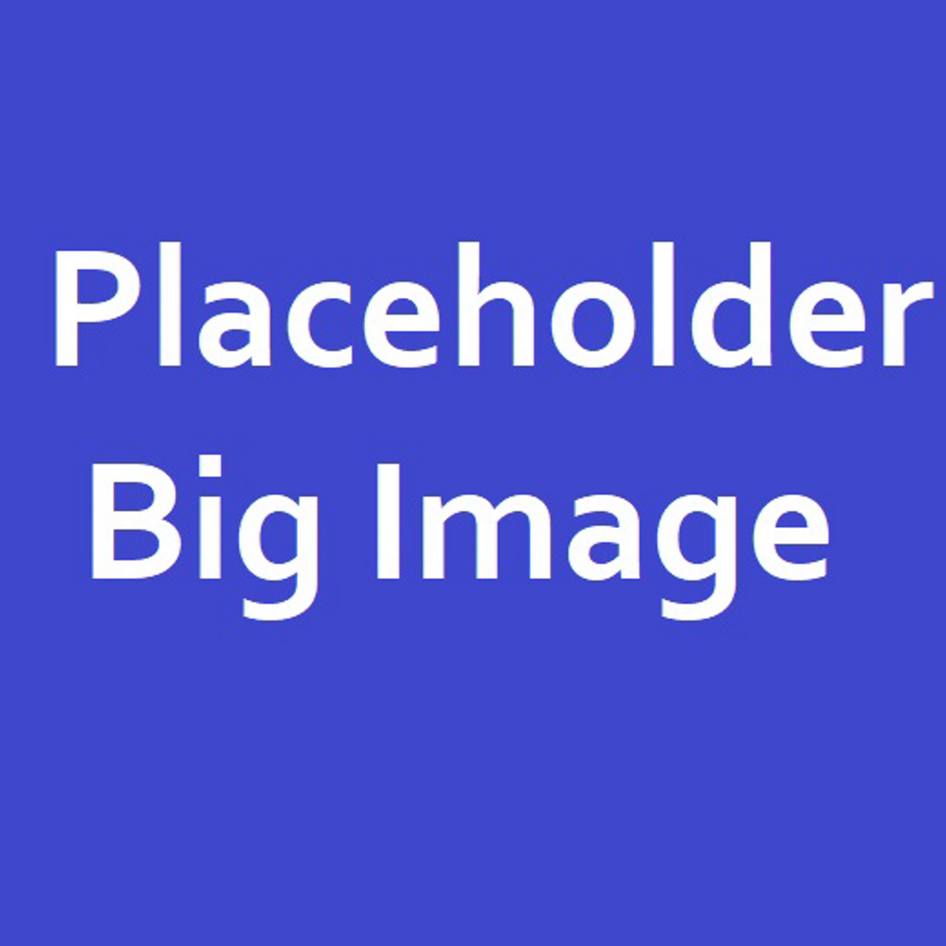 Blue background with the text "Placeholder Big Image" in white, centered.