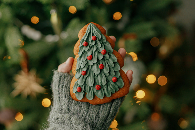Main qui tient un biscuit de noël décoré en sapin