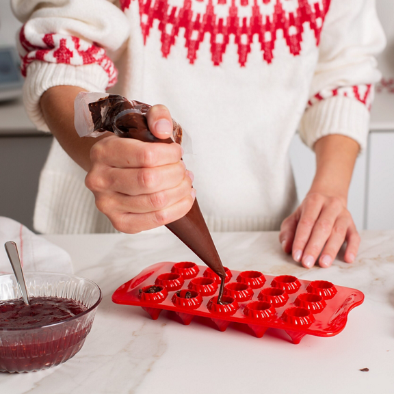 FR eshop thermomix moule chocolats