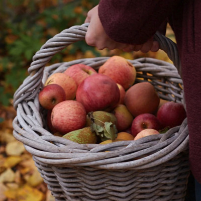 Benutze am besten frische Äpfel aus dem Garten
