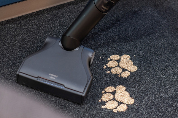 Kobold Staubsauger Black saugt Pantherspuren aus Schmutz