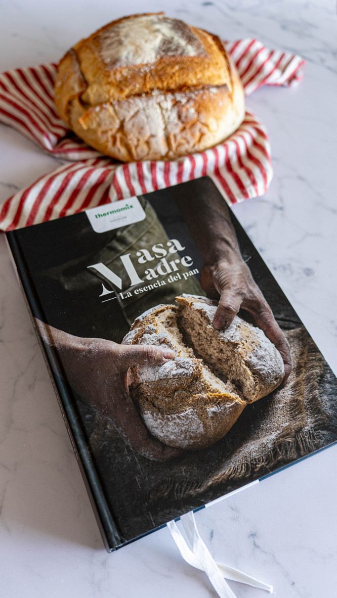Masa Madre 1