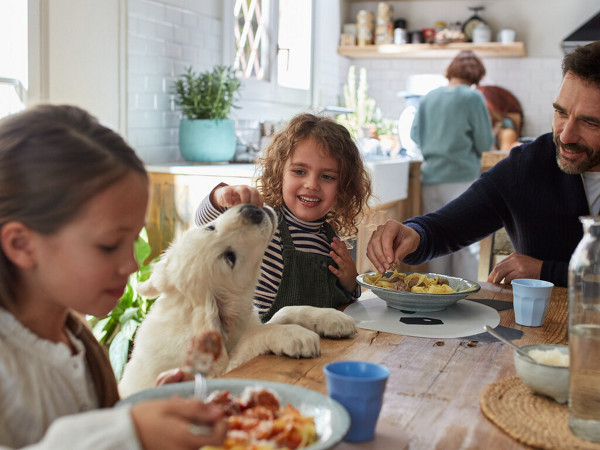 Opcion thermomix opcion plus