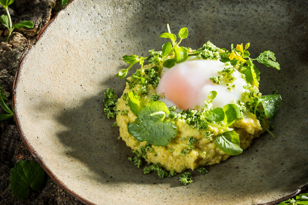 Cremige Polenta mit Wildkraeuterparmesan und pochiertem Ei