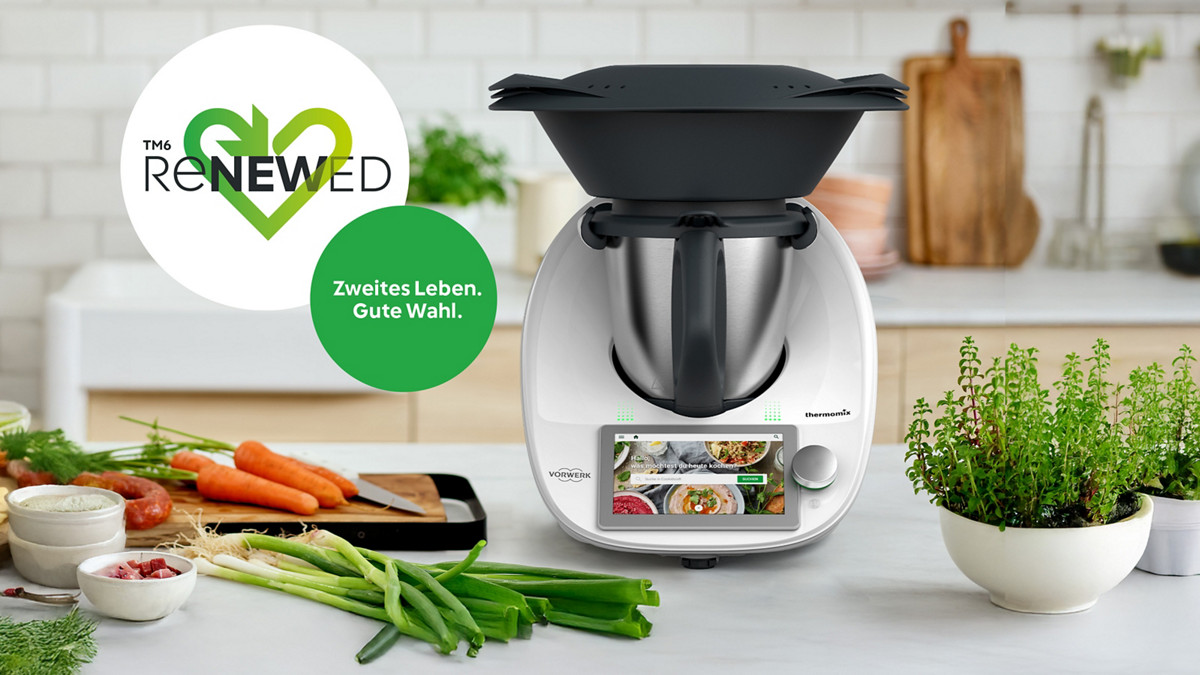 TM Aufklapper LP TM6 Renewed