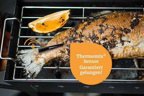 TM header ideenreich 800x533px Sensor V4