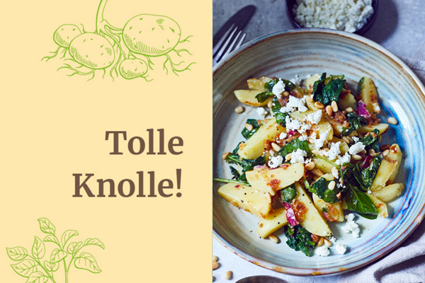Umdenken im Topf thermomix webseite Bild Text Teaser kartoffel