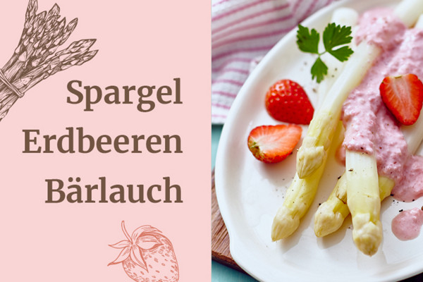 Umdenken im Topf thermomix webseite Bild Text Teaser spragel
