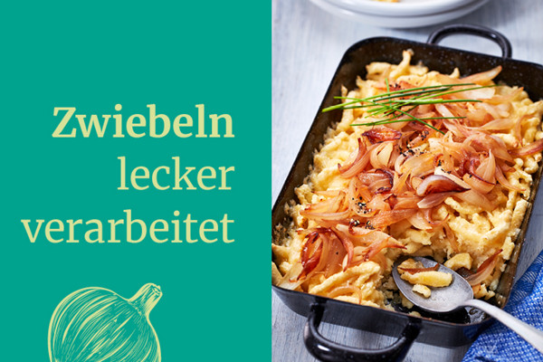 Umdenken im Topf thermomix webseite Bild Text Teaser zwiebel