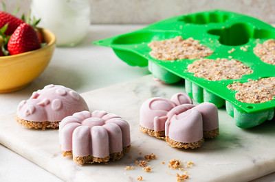 VO 600x400 LP Wunsch Silikonform