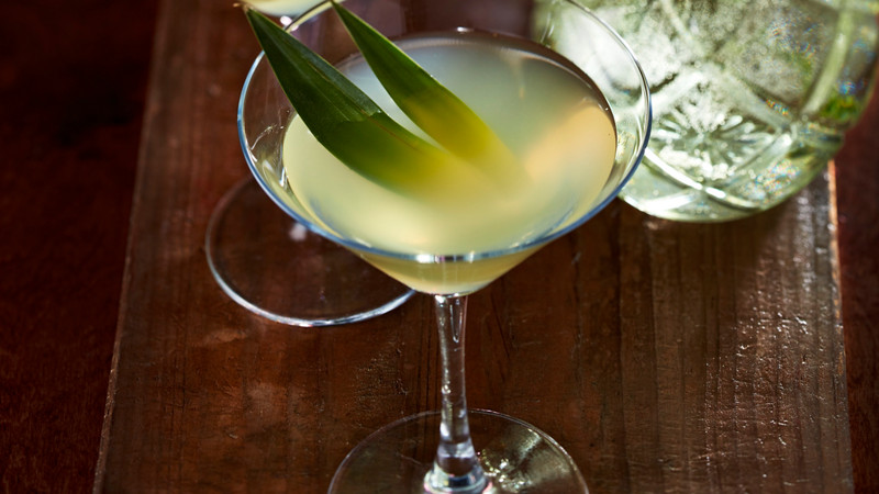 Leckere Drinks mit alkoholfreiem Gin selbstgemacht mit Thermomix®