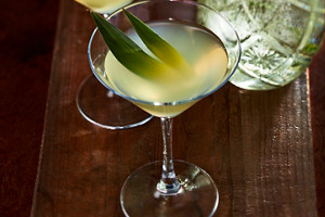 Leckere Drinks mit alkoholfreiem Gin selbstgemacht mit Thermomix®