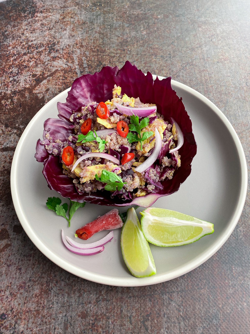  Thermomix® trucos de cocina recetas cesta de lombarda con quinoa y pollo 1