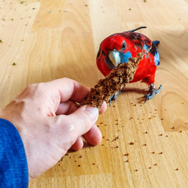 Futterreste auf dem Boden einfach beseitigen