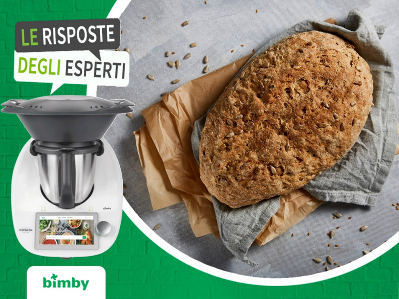 fermentazione impasti