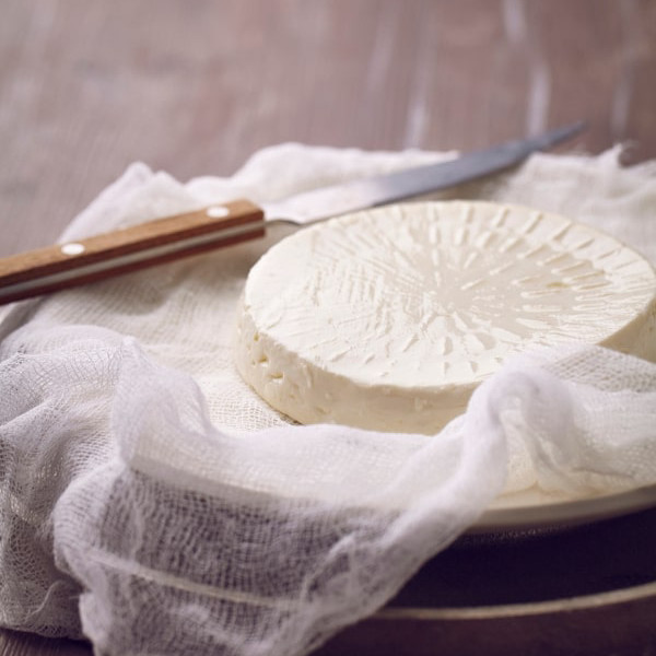 fermentazione impasti2