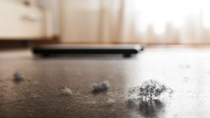 Staub als unbeliebter Mitbewohner