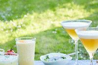 fr thermomix recette aperitif