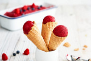 fr thermomix recette glace yaourt fraise myrtille