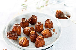 fr thermomix recette mini canneles magret canard oignons