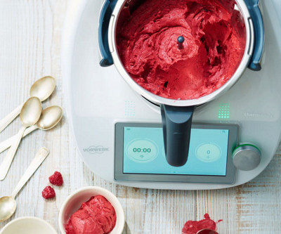 fr thermomix recette sorbet fruits rouges