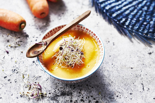 Soupe réalisée au robot mixeur