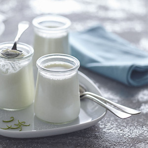 fr thermomix recette yaourt brebis