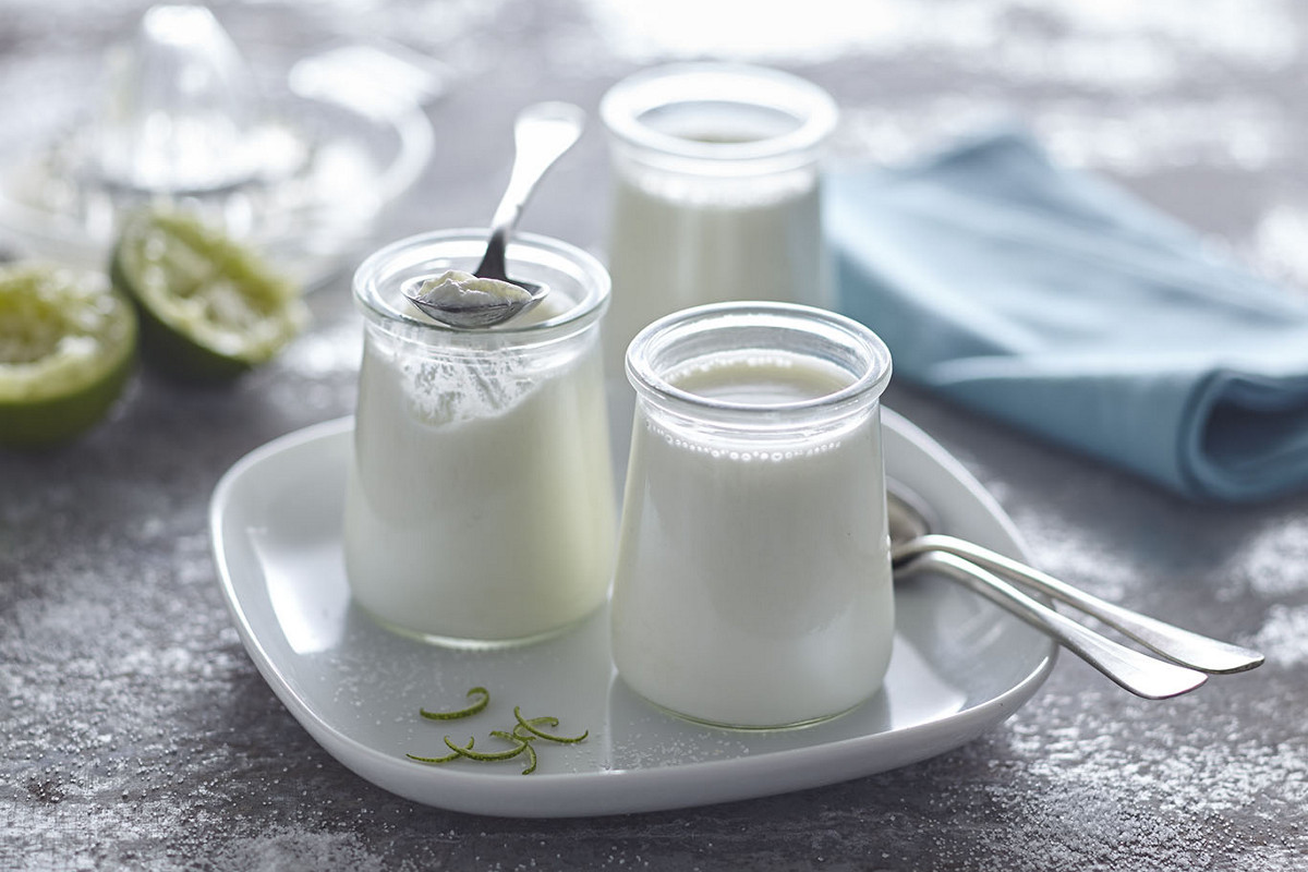 fr thermomix recette yaourt brebis