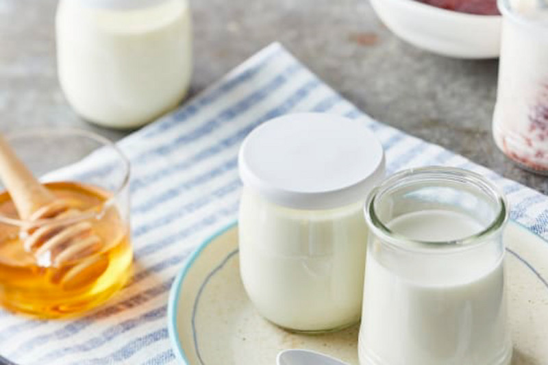 fr thermomix recette yaourt