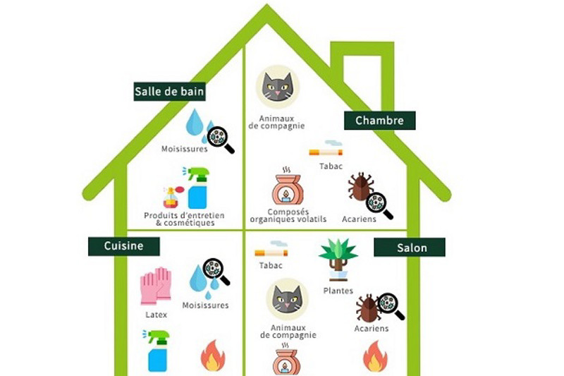 fr kobold blog infographic france house
