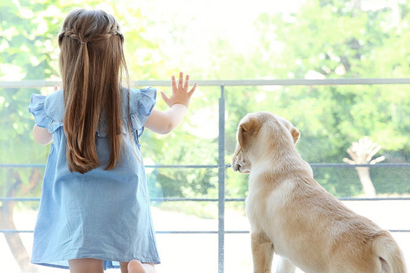 fr kobold blog kid with dog