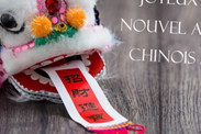fr thermomix blog dragon chinese new year
