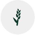 int thermomix bimby TM6 screen mode icon dough medium
