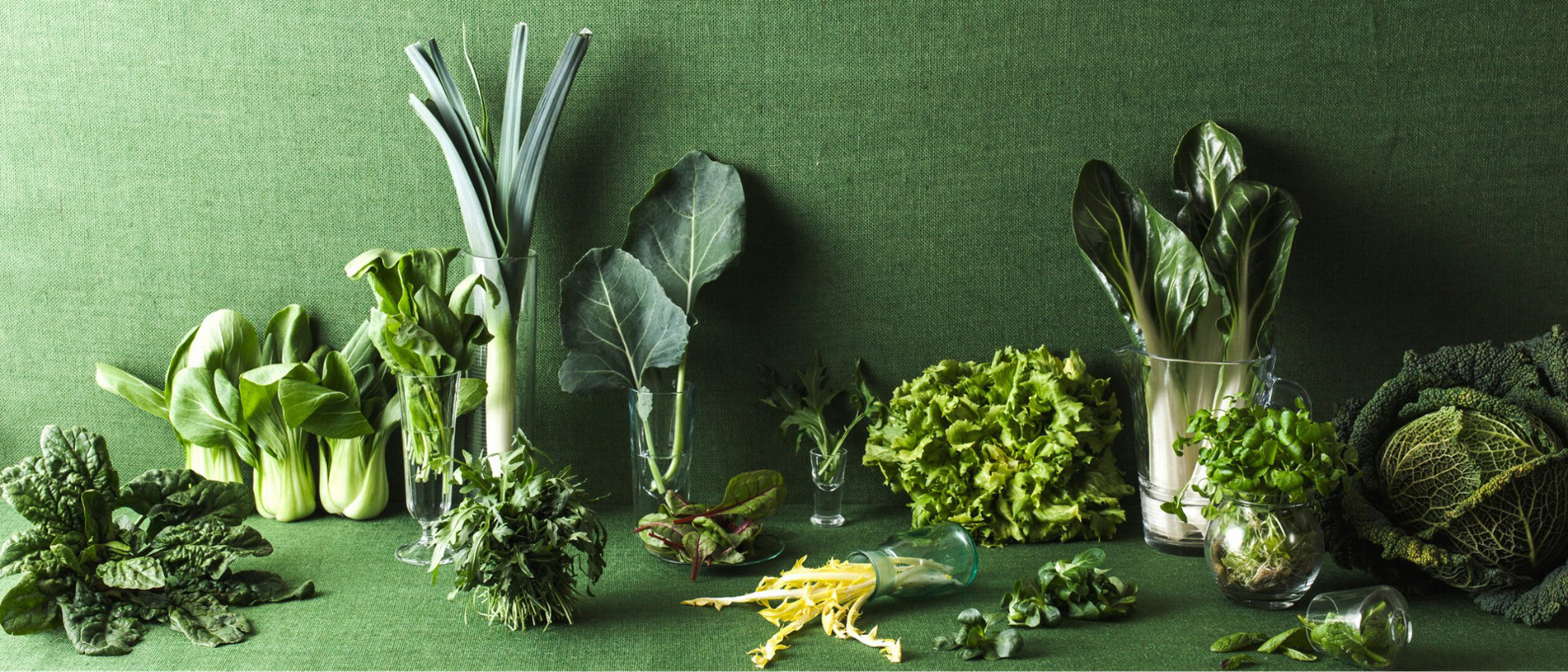 int thermomix 50cookbook editorial 1920x824
