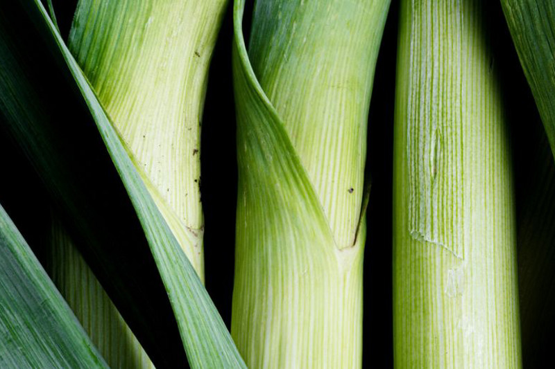 int thermomix TM6 recipe image february magazine ingredients editorial var 1 header 1500x515