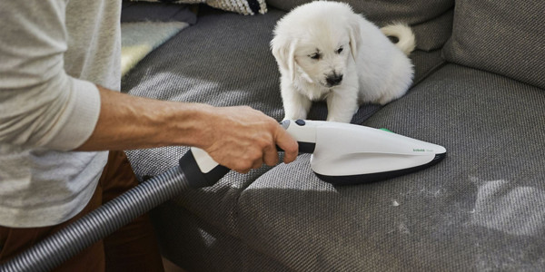 kobold attachment pb100 man vacuums sofa dog 2 1