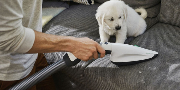 kobold attachment pb100 man vacuums sofa dog 2 1