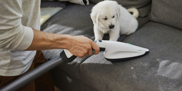 kobold attachment pb100 man vacuums sofa dog 2 1