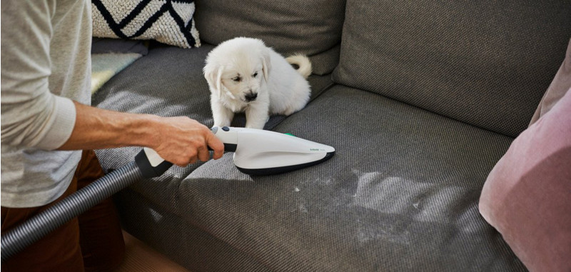 kobold magazin dog on couch woman cleaning ss pb