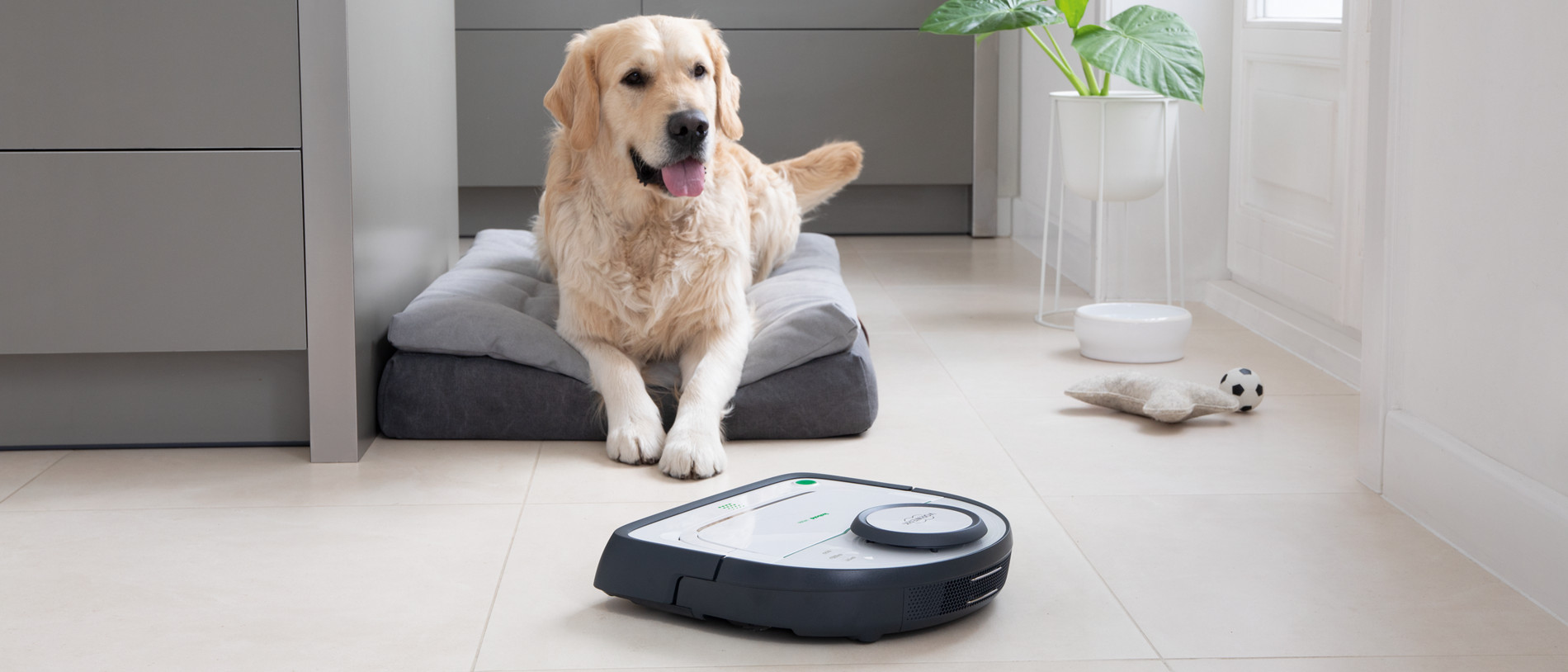 kobold vr300 dog kitchen cleaning