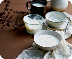 nutri article iogurte