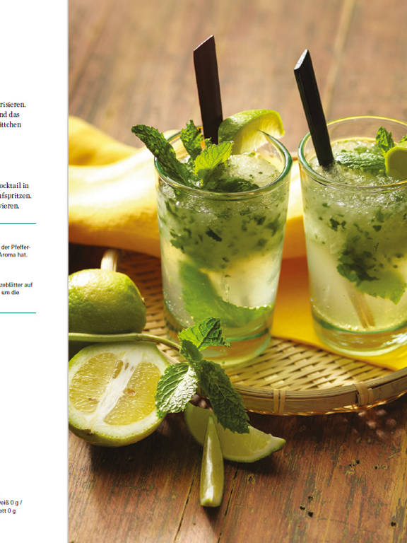 thermomix cookbook shake it page4