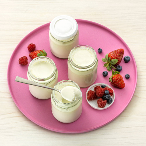 Selsbtgemachter Joghurt