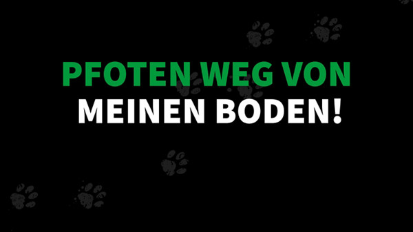 Von feinen Härchen bis zum Fellknäuel - Tierhaare vom Fußboden entfernen