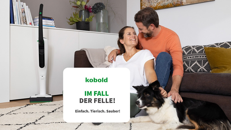 Staubsauger für Tierhaare - Tierhaare richtig entfernen
