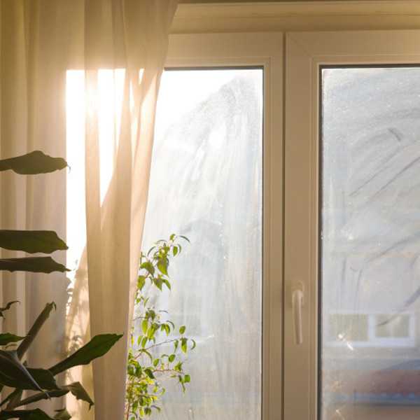 Fenster streifenfrei reinigen